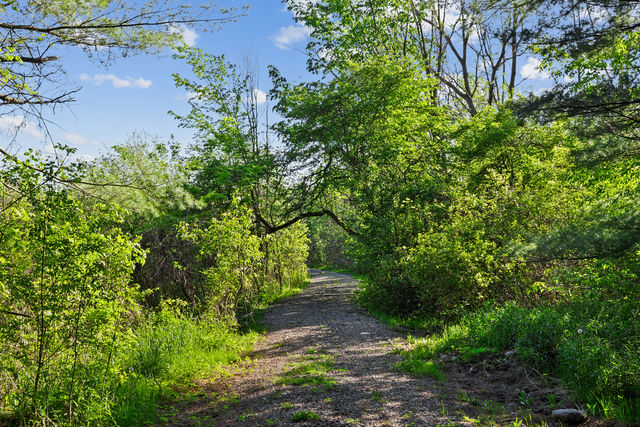 A sunlit private trail winding through Dunvegan Farm